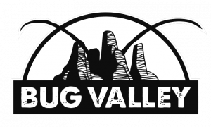 bug-valley_white_plain